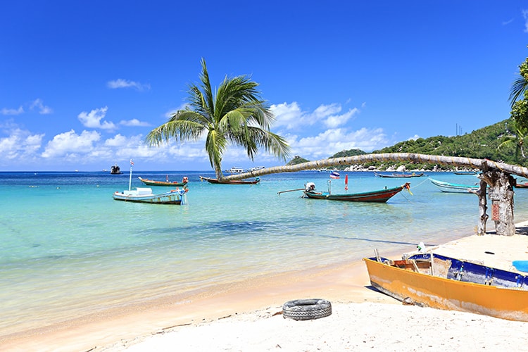 Best-Beaches-in-Koh-Tao-Thailand-Sairee-Beach-Koh-Tao-palm-tree-on-the-beach