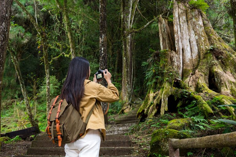 Bangladesh Tour Guide Services for International Travelers