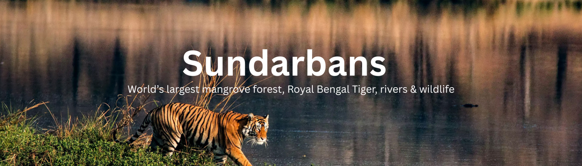 Sundarbans Tour Package