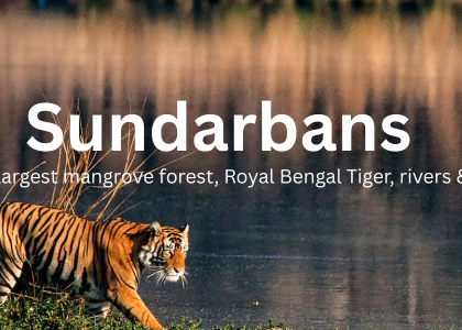 Sundarbans Tour Package