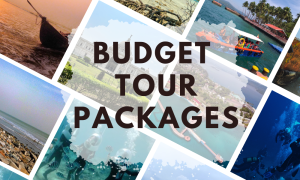 Tour Packages