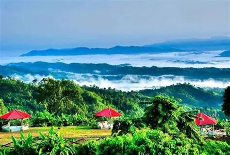 Sajek Valley Travel Guide