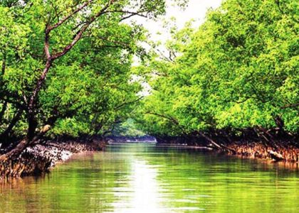 Sundarbans Travel Guide