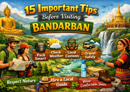 15 Important Tips