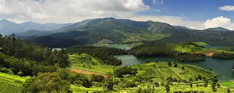 Nilgiri