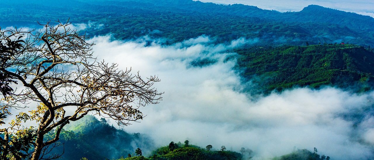 Sajek Valley is called the Queen of Hills