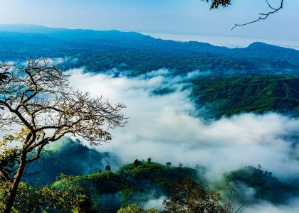 Sajek Valley is called the Queen of Hills