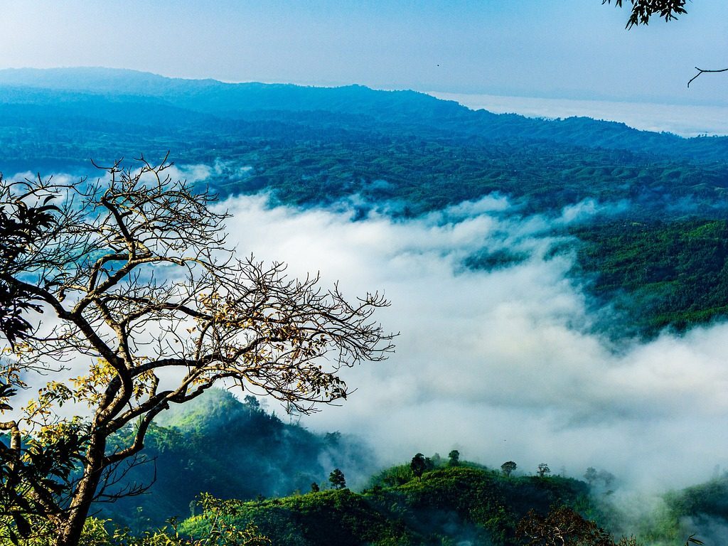 Sajek Valley is called the Queen of Hills