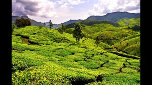Sylhet