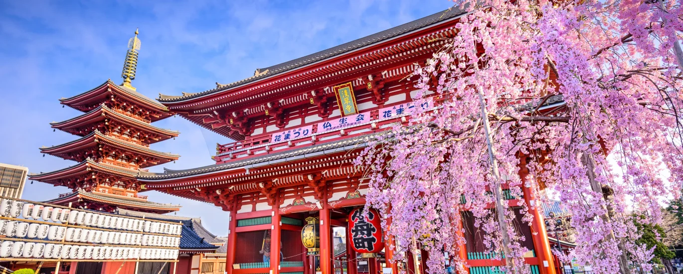 Japan Budget Travel Guide