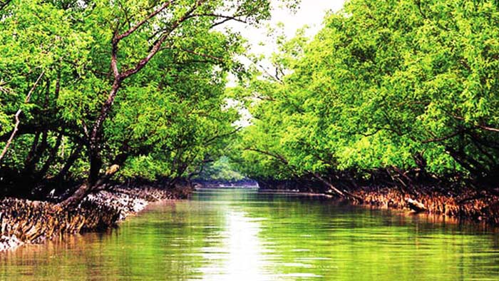 Sundarban